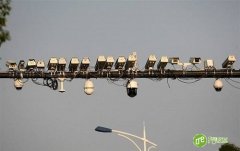 人大代表郑杰：加强信息共享 治理视频监控麻雀