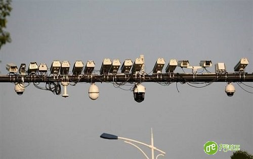 人大代表郑杰：加强信息共享 治理视频监控麻雀