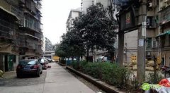 智慧社区方案怎样提升老旧社区安全、幸福感